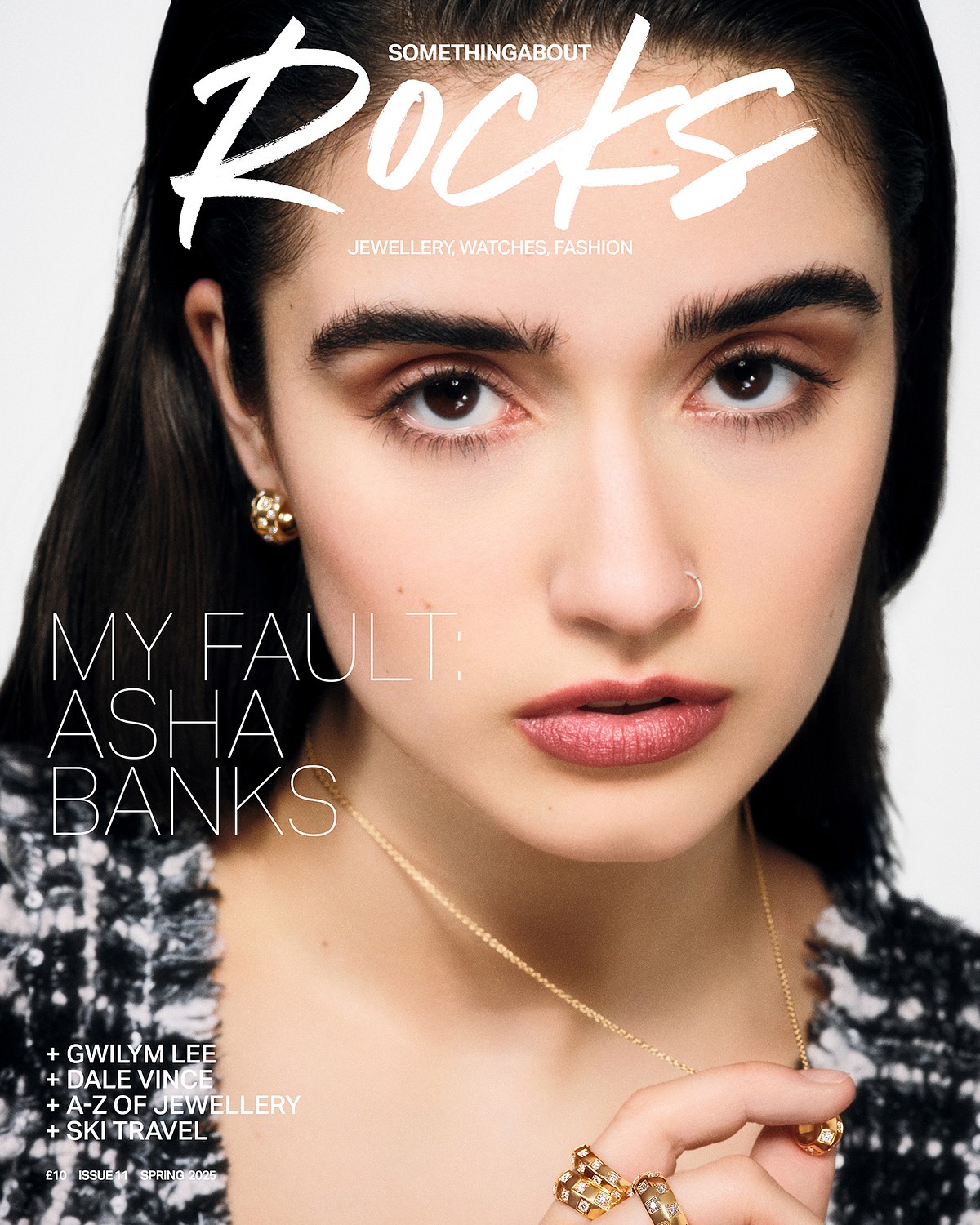 Something About Rocks / Asha Banks